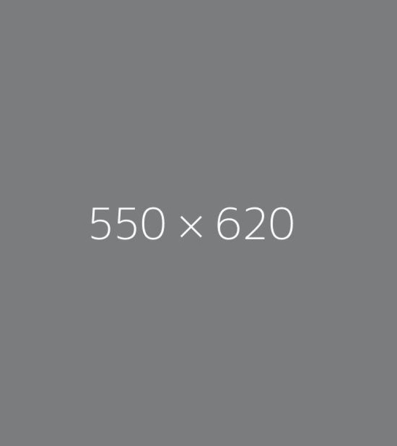 550*620